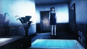 広めの玄関。観葉植物よりも綺麗な花瓶に花が生けてある方が個人的には好き。実際には面倒くさそうだからしないけどね~🥀