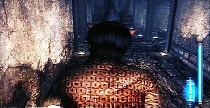 メタルギアシリーズ、天誅、サイレン…やっぱりステルスゲームが好きなんですよね~。隠れて敵の独り言や会話を聞くのも大好きです♡
