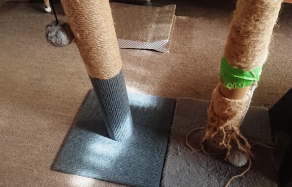 オモチャがボロボロになってからの方がよく遊ぶのも猫あるある…ですよね。愛着が湧いてるんやろなぁ~🥰カワイイ