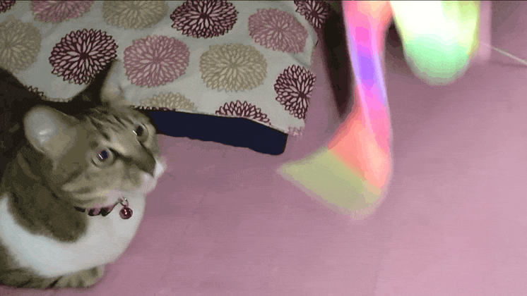壊れる前にキャンドゥで仕入れないと…