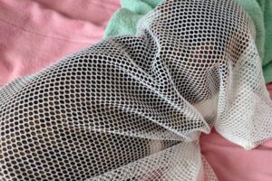 洗濯網に入れると猫が大人しくなるって言ってた奴出てこいよ！うちのミミーは決して前進をあきらめないニャンコなんだよ(ΦωΦ)