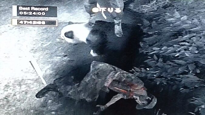 高い目線から撃ち抜けば銃を落としてくれるかも知れないねぇ🤔