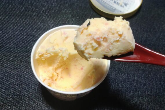 意外とイケるぞコレ〜🍨