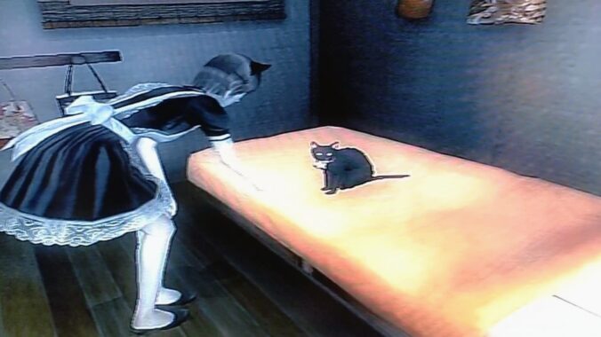 このツン顔がたまらねえのよ(猫好き談)