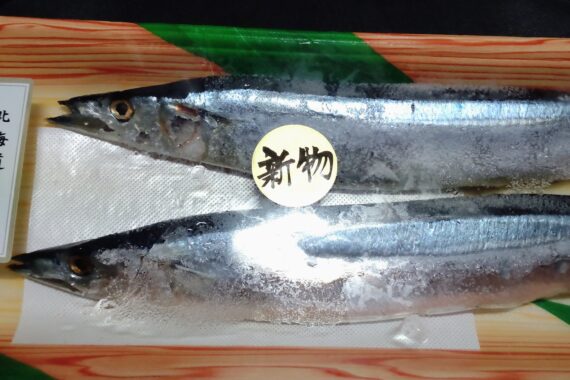 冷凍して解凍したのに新物とはこれ如何に…？