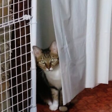 大将、やってる?じゃねーのよ…。ミミーちゃんは破壊神すぎる🥹