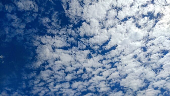 イワシのつみれ汁が食べたくなってきた
ლ(´ڡ`ლ)