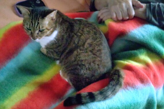 この飼い主を見下げ果てたような目つき…たまらないねえ😇ゾクゾクするぅ～