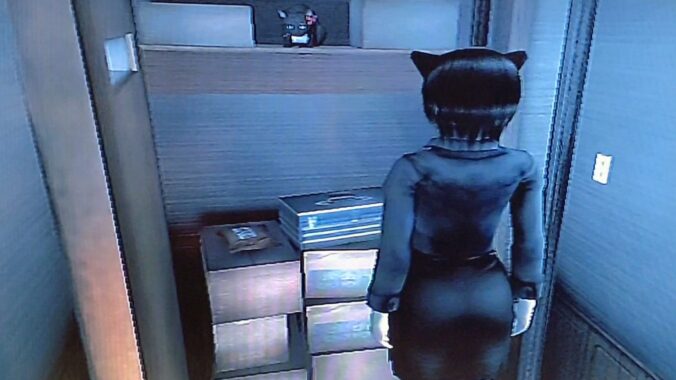 最初から扉が開いていて、ルリちゃんがそこに収まった後に扉が閉まったならワンチャン…？閉じ込められなくて良かったね〜