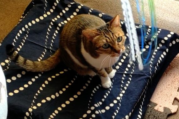 春になった頃にまた買ってあげよ〜