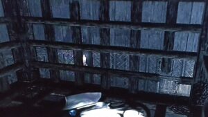 眠ってると思うだろ?目は開いてんだぜ…