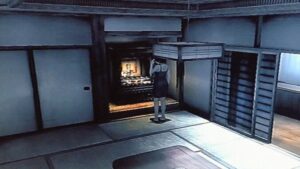 線香の匂いは嫌いじゃないけど猫にはアカンでしょ!