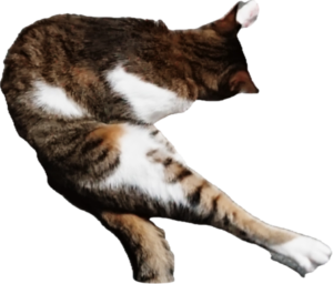 そ～れッ！大開脚〜♡