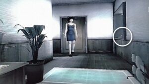 ルリちゃんのお気に入り場所