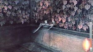 ガオーポーズ可愛い♡…そう思っていた時期もありました