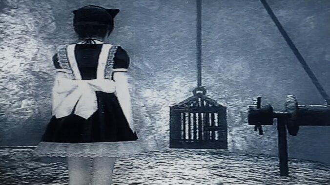 この大掛かりなKARAKURIも宮大工さん達でメンテしてたの？