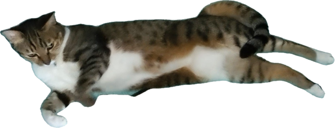 そんなにしたいなら、させてあげなくもなくってよ?