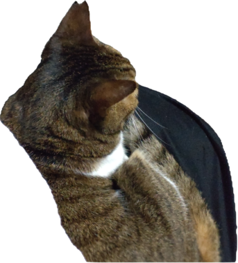 漬物石(のように重い)キャット