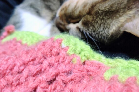 あらぁ〜♡スヤスヤなのミミーちゃん?カワイイねぇ?カワイイねぇ〜♡