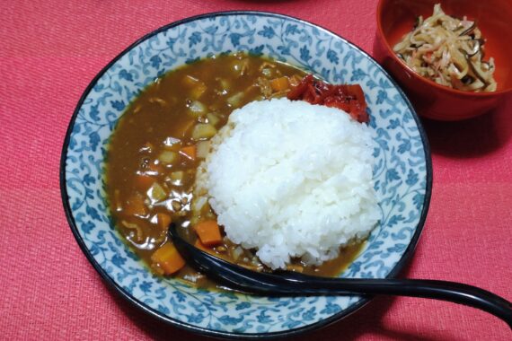 やる気も飾りもないカレー🍛