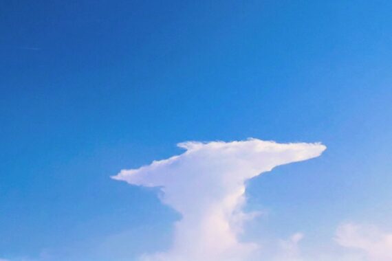 かなとこ雲…だよね？初めて生で見た👀